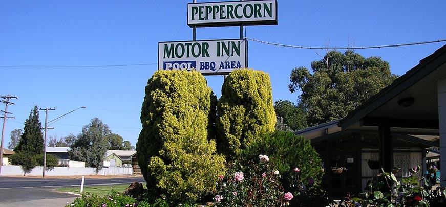Peppercorn Motor Inn